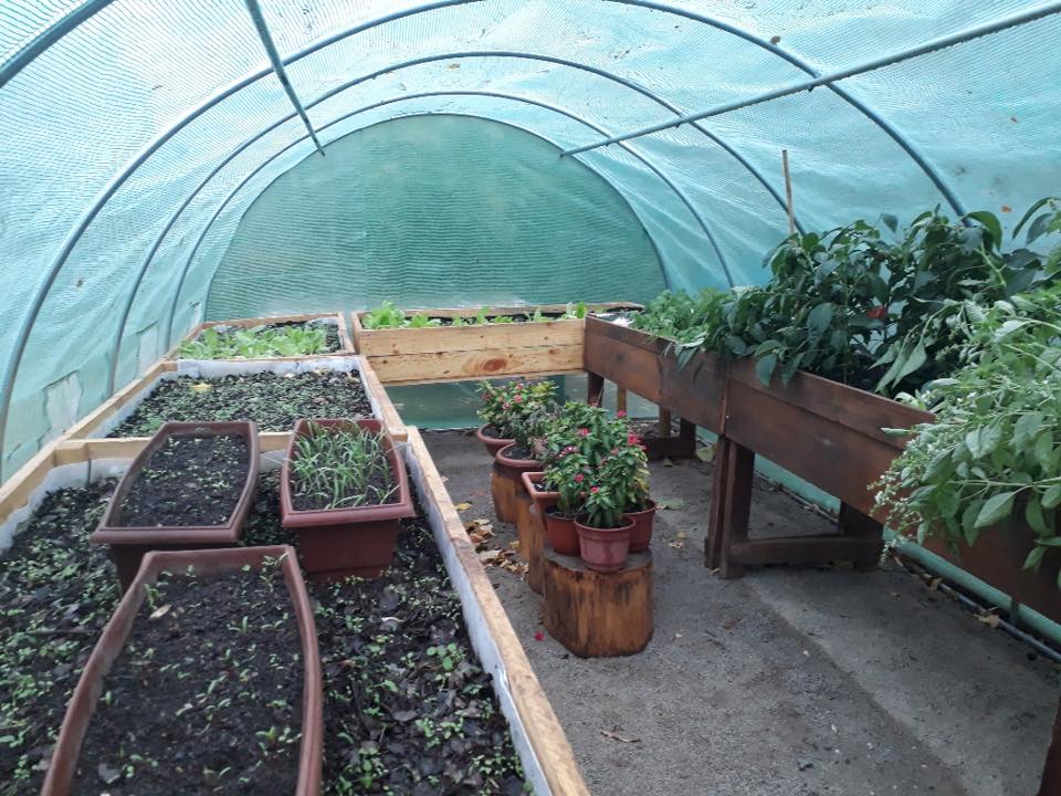 Invernadero de 24 m² 8x3x2 mt. - Imagen 3