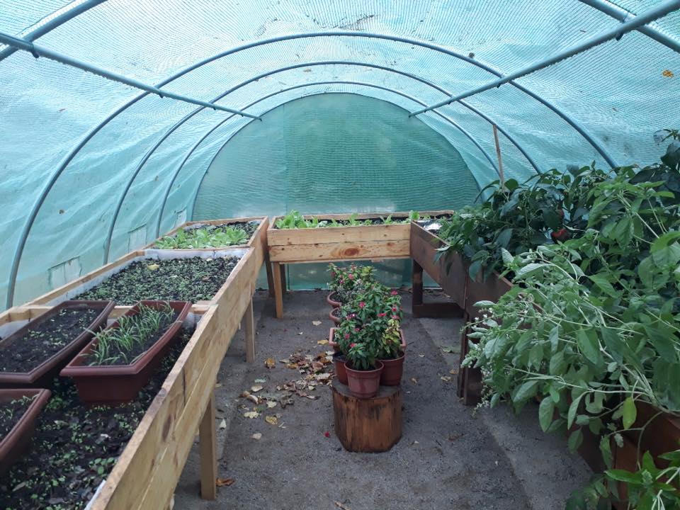 Invernadero de 24 m² 8x3x2 mt. - Imagen 5