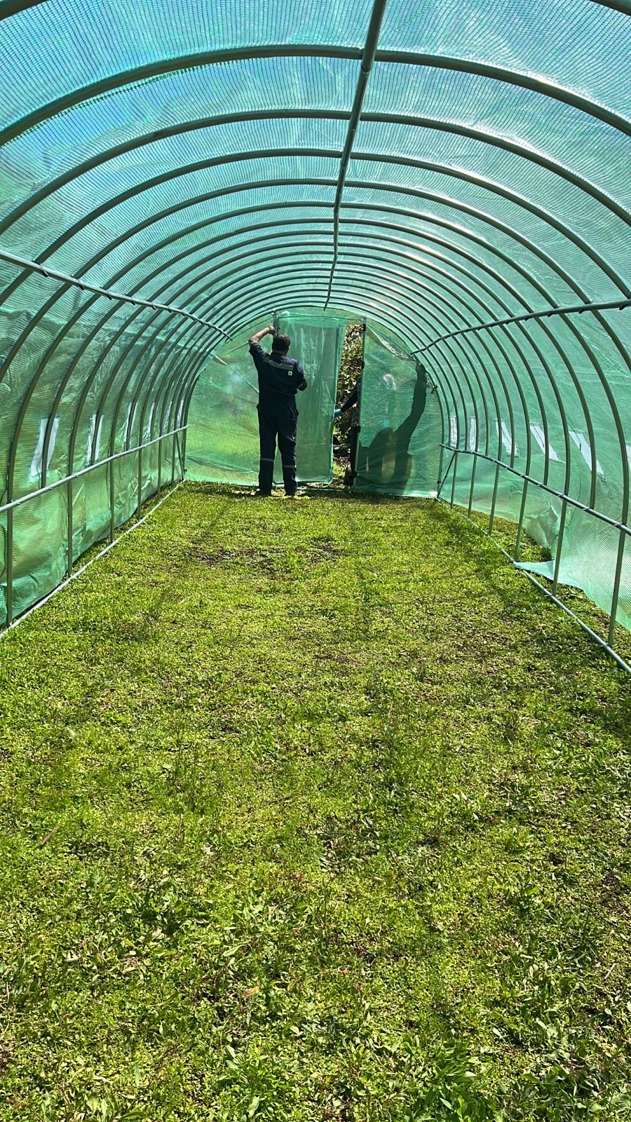 Invernadero de 30 m² Doble Puerta de acero. - Imagen 2