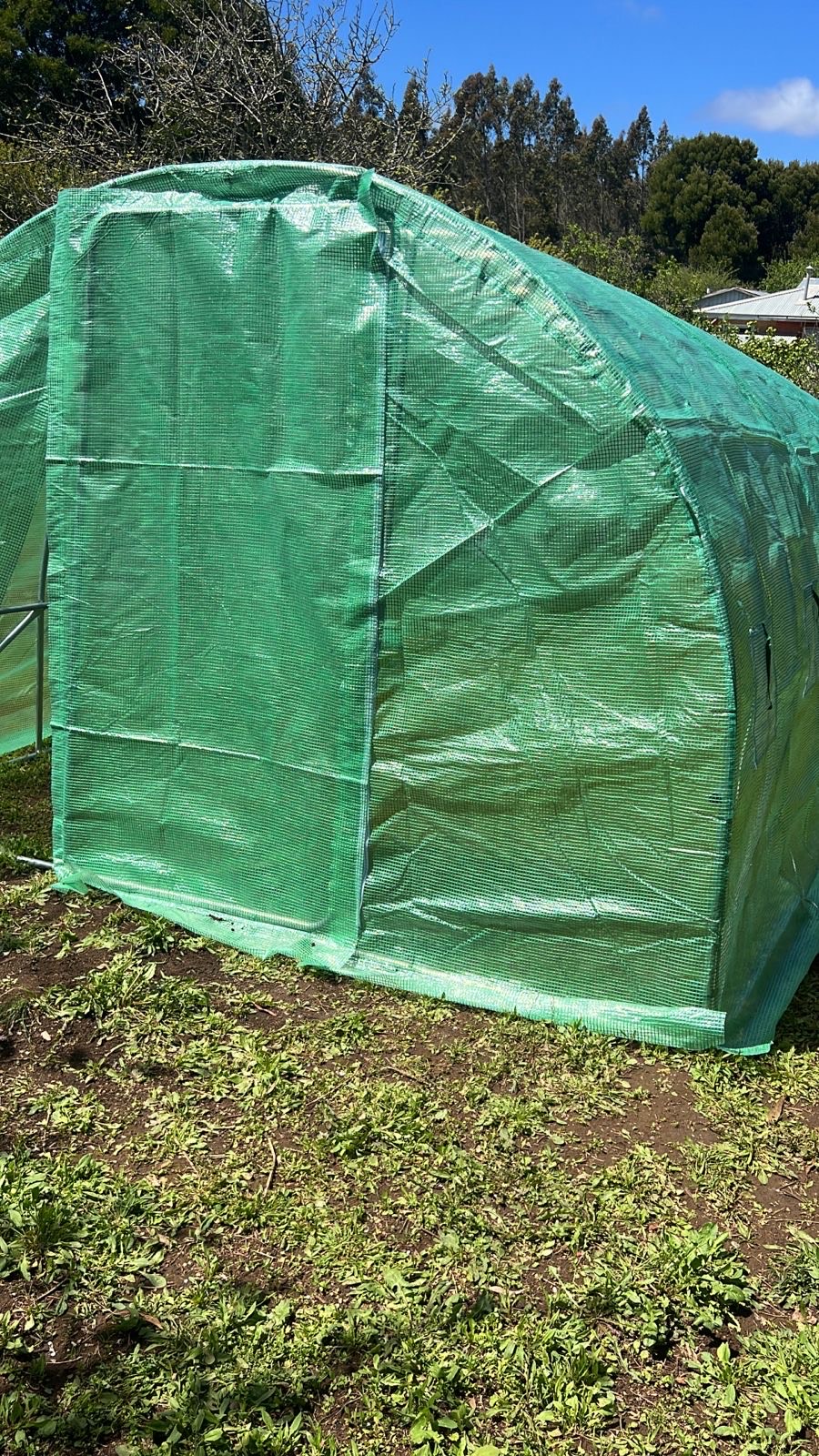 Invernadero de 30 m² Doble Puerta de acero. - Imagen 5