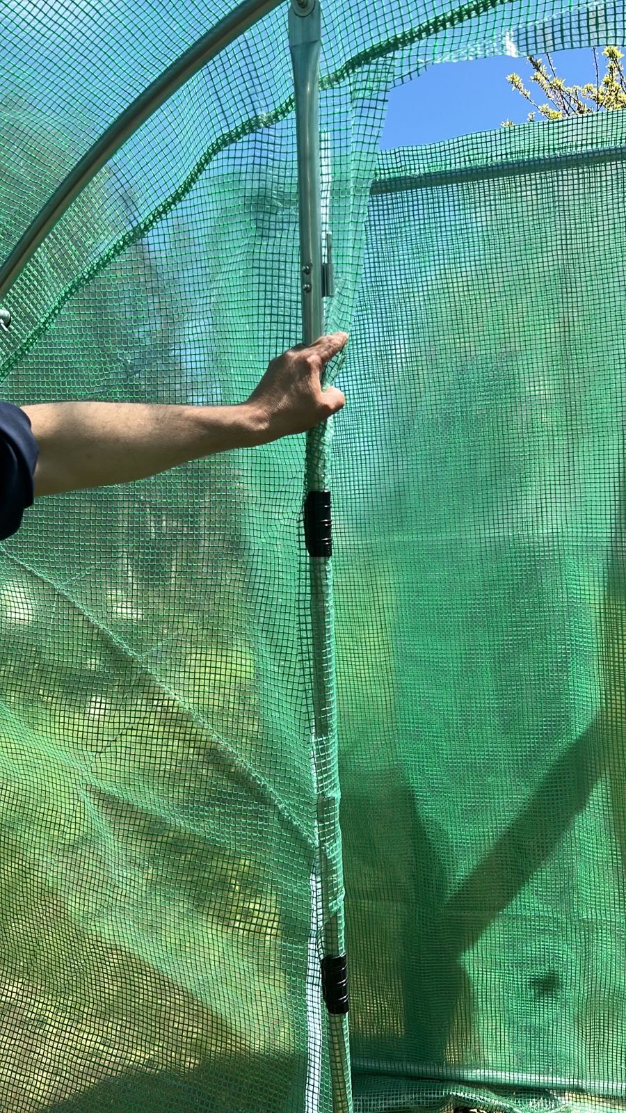 Invernadero de 30 m² Doble Puerta de acero. - Imagen 3